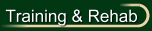 Horse Training & Rehabilitation